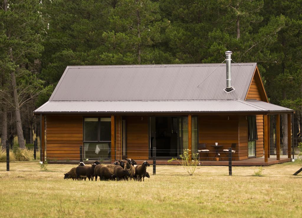 Woodbank Park Cottages Hanmer Springs Δωμάτιο φωτογραφία
